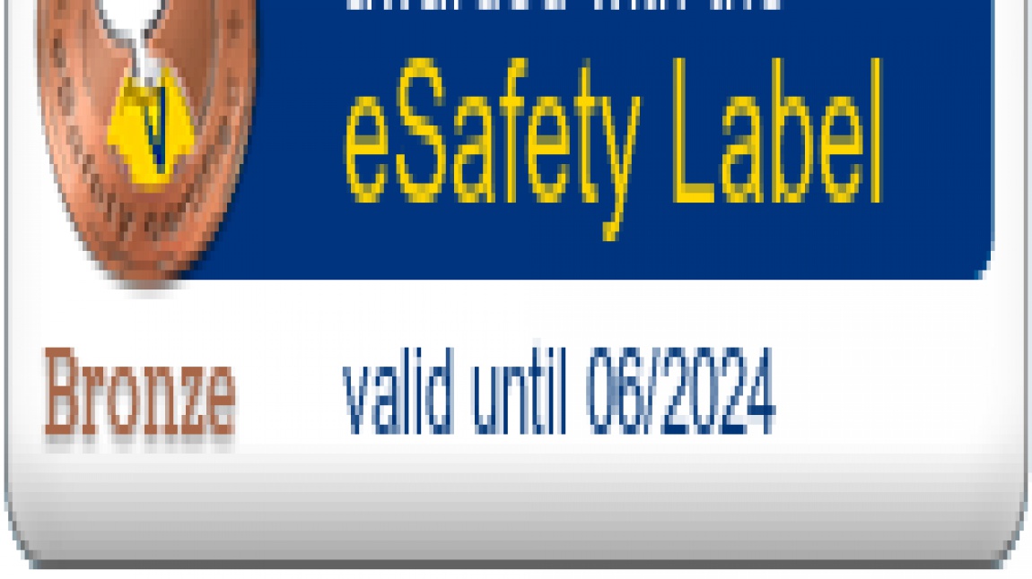 eSafety Label Bronz Etiket